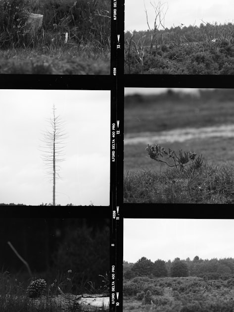 Mindfulness Practices in Nature